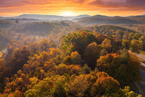 istock Fall forest on Appalachian mountain hills at sunset with brightly illuminated lush and pine woods. Autumnal landscape of beautiful nature 2221971270