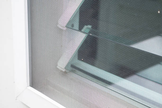 istock mosquito net wire screen on house window protection against insect 2221971737