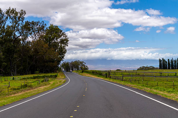 istock Scenic road winds through lush greenery under a partly cloudy sky. 2221974003