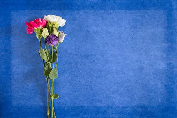 Bouquet of carnations and Lisianthus (Eustoma grandiflorum) on a blue background.