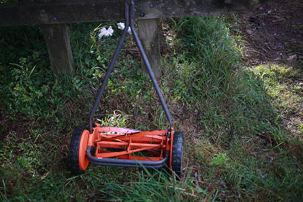 istock Vintage Push Reel Lawn Mower in Garden Setting 2221989104