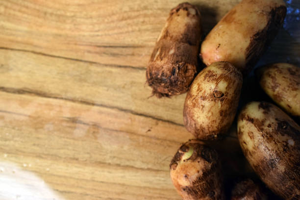 Group Of Taro Root Vegetable On Wooden Table Close Up  Image