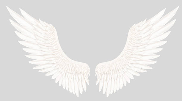 Beautiful white wings spread wide Image material of angels and goddesses angel stock illustrations