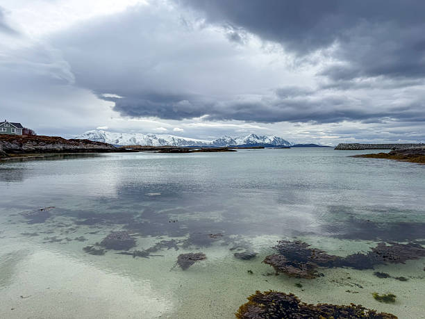 istock Serene Coastal Landscape with Snow-Capped Mountains and Cloudy Sky 2222012274