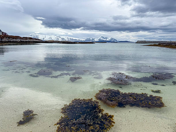istock Serene Coastal Landscape with Snow-Capped Mountains and Cloudy Sky 2222012281
