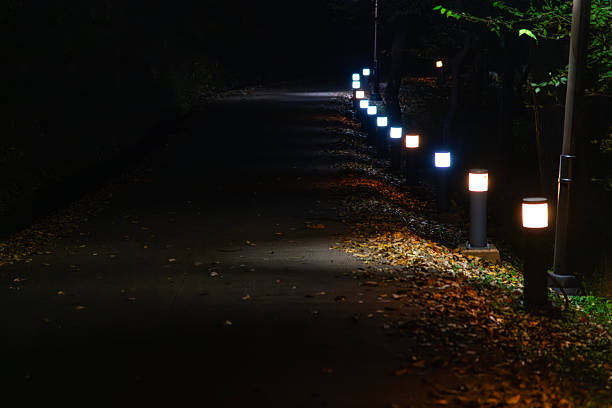 istock lights and lamps at the footpath in the night 2222014566