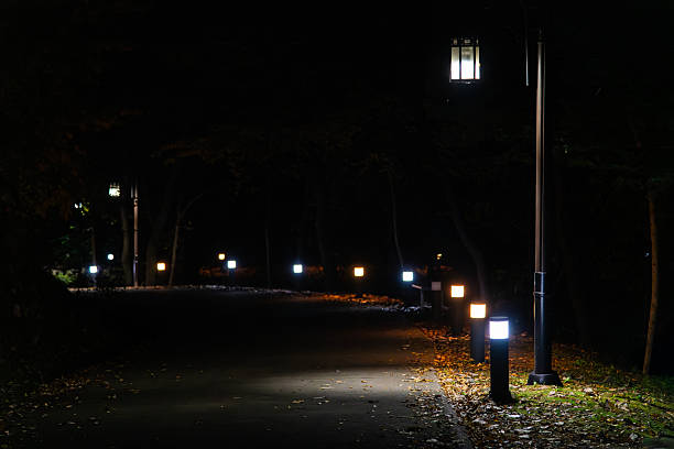 istock lights and lamps at the footpath in the night 2222014582