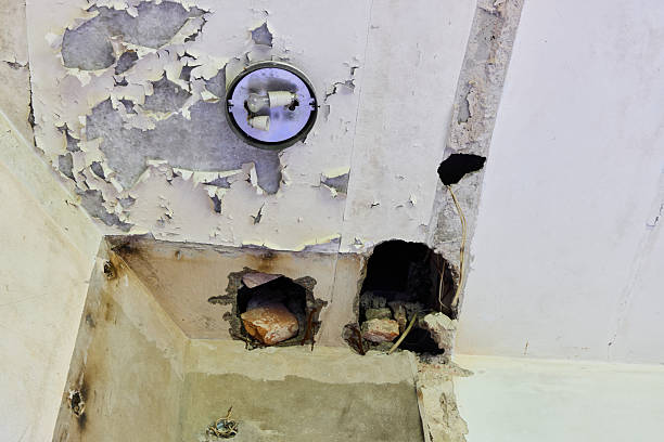 istock Damaged Wall Displaying Exposed Fixtures Along with Cracked and Peeling Paint Surfaces 2222020528