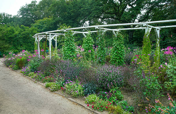 At Ayase Rose Garden.This is a free public rose garden located in Koryo Park in Ayase City, Kanagawa Prefecture, Japan.