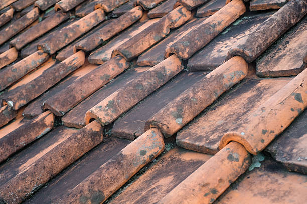 istock Side view of mossy clay tile roof. 2222023095