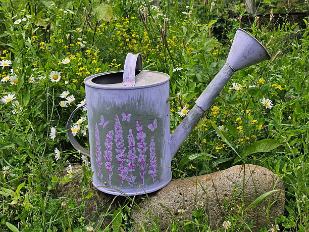 Garden iron watering can near a flower bed