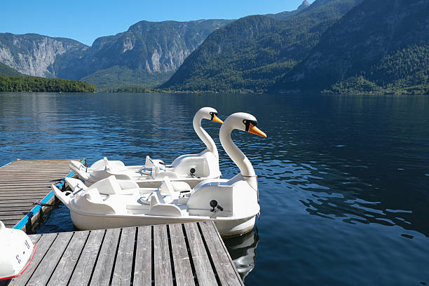 istock Swan Boats on Hallstatt Lake 2222038067