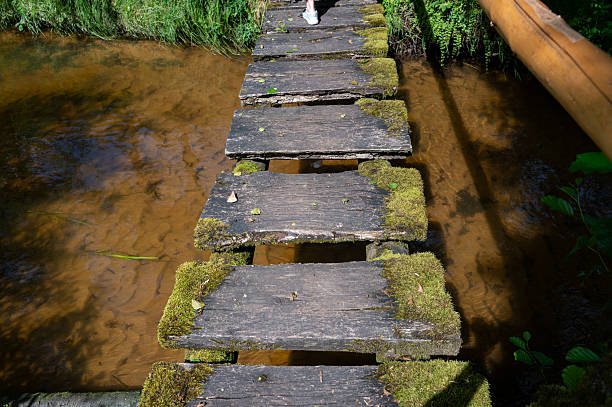 Wooden plank bridge over a small stream in nature