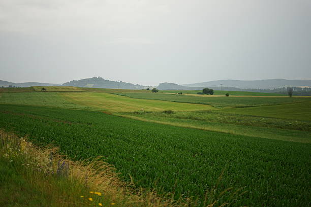 istock Rolling green fields and yellow crops on a cloudy day 2222041015