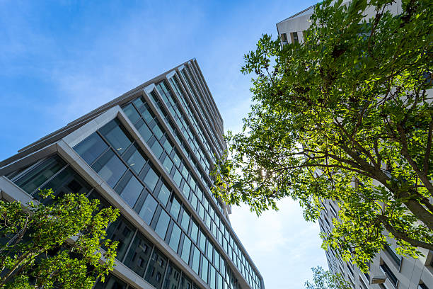 istock Trees in front of modern office buildings 2222045942