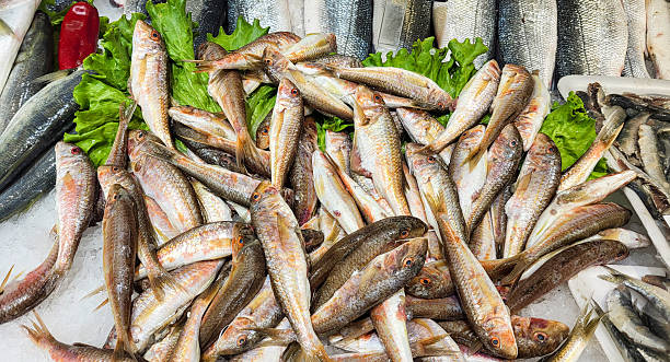 istock Fresh seafood at the fish market 2222048136