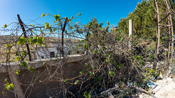 istock Overgrown Barbed Wire Fence in Rural Landscape 2222052420