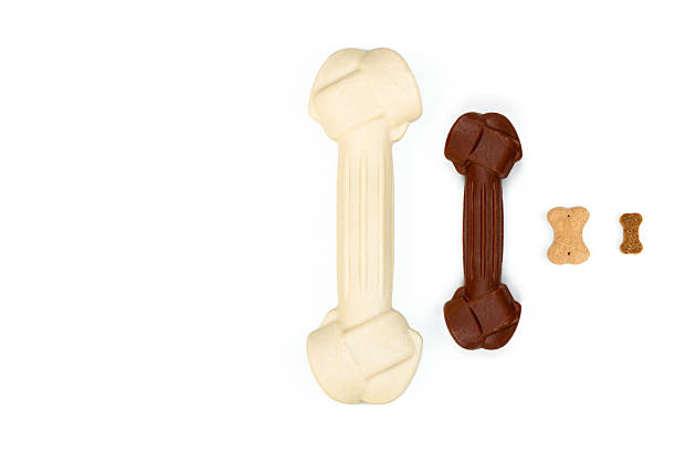 istock Top view of four types of dog treats: large white bone, medium red bone, cookie bone, small bone on a white background. 2222055608