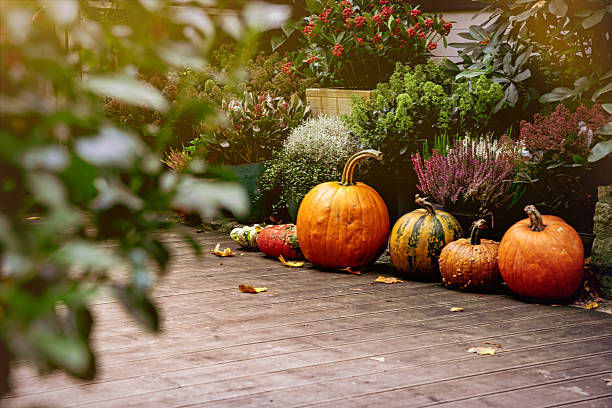 istock Pile of pumpkins, Halloween decorations 2222061960