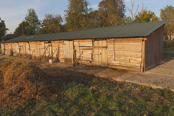 Rustic wooden barn stands in a rural landscape during early morning light