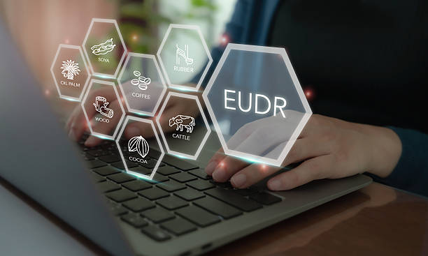 istock Implementation of the EU Deforestation Regulation (EUDR) concept. Using laptop with icons of regulated commodities; oil palm, soya, wood, cocoa, coffee, cattle, rubber. Traceability, sustainability. 2222069564