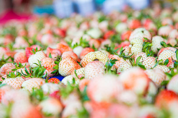 Fresh strawberry fruit harvest from mountain farm organic vitamin food