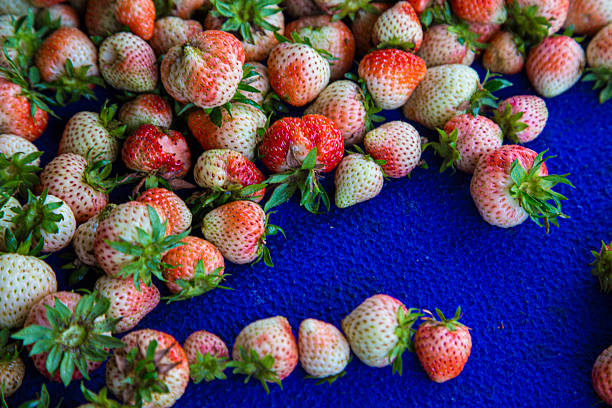 Fresh strawberry fruit harvest from mountain farm organic vitamin food