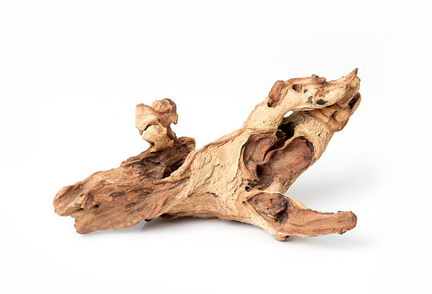istock Dry driftwood isolated on white background, natural decorative element for aquariums or interior design. 2222081255