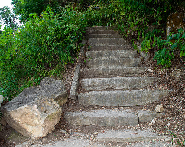 istock cement stairway among green foliage 2222087648