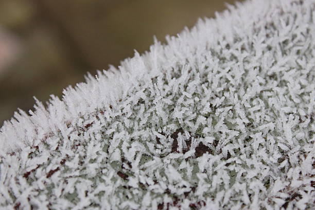 istock Close-Up of Frost Covered Surface During Cold Winter Morning 2222087704