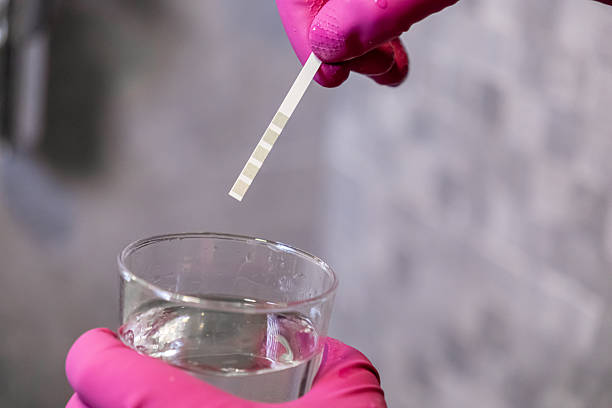 istock Person in pink gloves diligently tests drinking water quality using a specialized testing strip in a glass, ensuring purity for household health and safety 2222088980