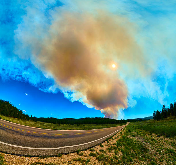 istock Panorama Forest Fire Smoke Sun and Scenic Drive in Utah Wilderness 2222091706
