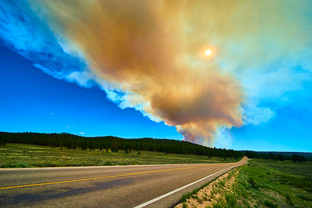 istock Smoke Plume and Sun Over Pine Forest and Scenic Drive During Wildfire Event 2222091740