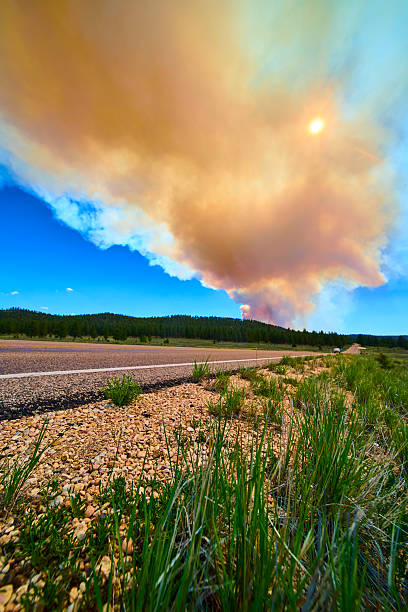 A thick plume of smoke from a forest fire rises near a scenic drive in Bryce Canyon National Park Utah as the sun shines through the haze and wild grasses line the roadside.