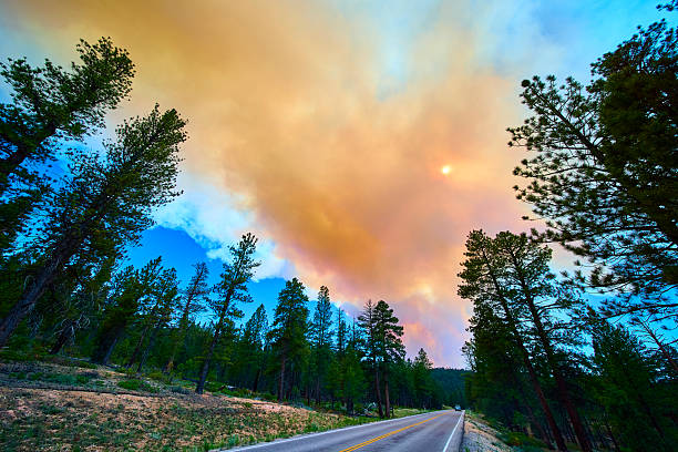 Smoke from a forest wildfire fills the sky above a scenic drive in Bryce Canyon National Park Utah as the sun glows through the haze and pine trees line the roadside.