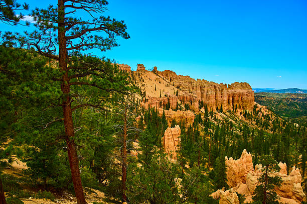 istock Bryce Canyon Hoodoo Rock Formations and Pine Trees Under Clear Blue Sky 2222092088