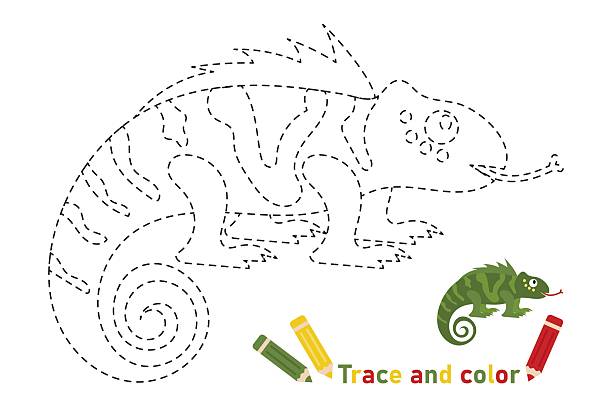 Chameleon coloring page, tracing for kids. Vector illustration of african reptile for print Chameleon coloring page, tracing for kids. Vector illustration of African reptile for print, writing practice african animals coloring pages stock illustrations