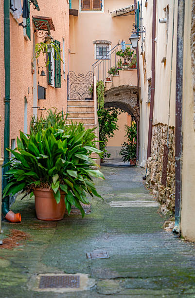 istock Poggi in Liguria 2222096205