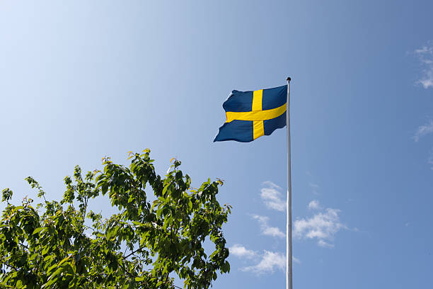 Swedish Flag