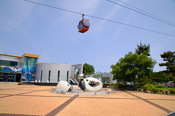 Uljin County, South Korea - May 31st, 2025: A red cable car passes above the sculpture plaza outside Uljin Aquarium in Wangpi Nature Park, connecting visitors to panoramic views along the Wangpi Stream Cable Car route.