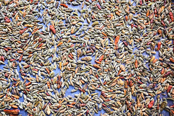 Raw whole dried Bird's eye chili