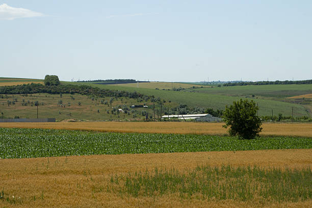 istock A large field with a house in the distance 2222103116