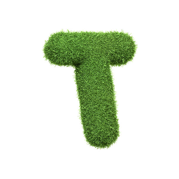 istock Capital letter T shaped from lush green grass, isolated on a white background. Side view. 3D render illustration 2222106979