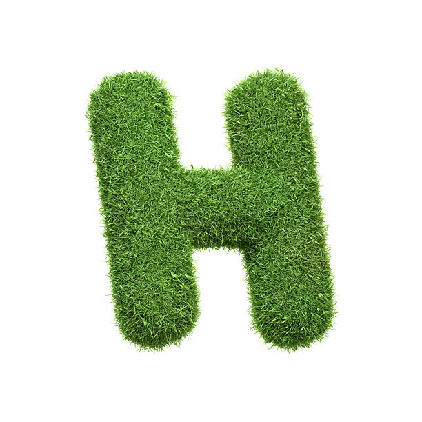 istock Capital letter H shaped from lush green grass, isolated on a white background. Side view. 3D render illustration 2222106981
