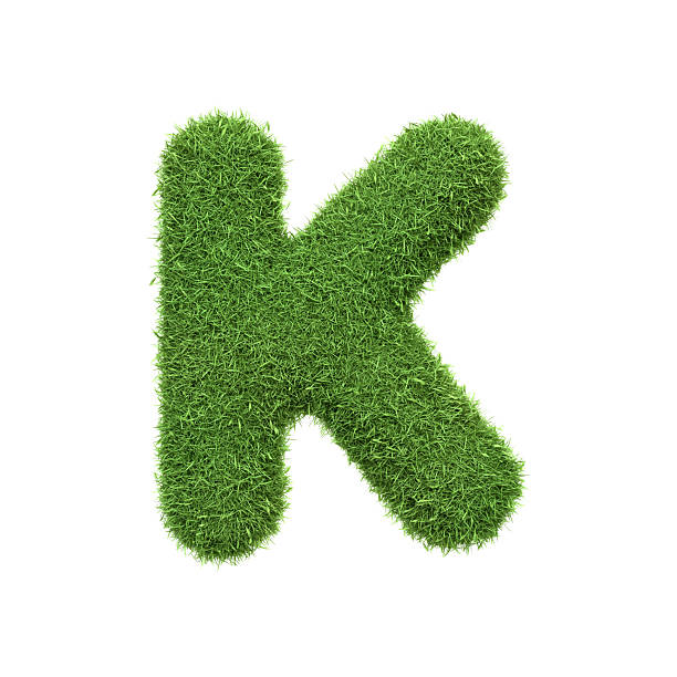 istock Capital letter K shaped from lush green grass, isolated on a white background. Front view. 3D render illustration 2222106982