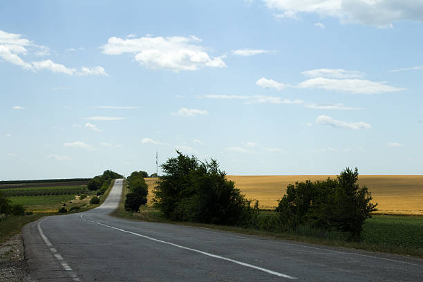 A road with trees on the side. Sky. Outdoor. Road. Grass. Way