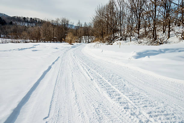 Tire tracks on the road through forest
