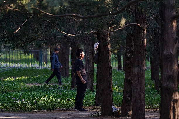 Men standing and walking through pine forest in Beijing city park
