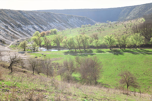 istock Lush green valley blooms in springtime 2222114040