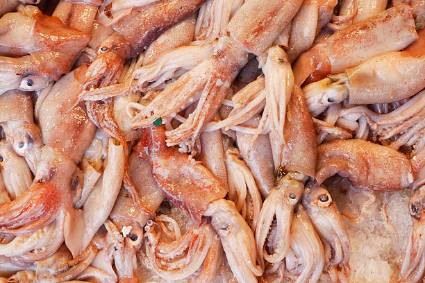istock Fresh squid displayed on ice at a market in the morning 2222114145